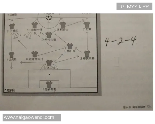 足球明星金字塔的崛起与影响力解析:从青训到职业生涯的全景探讨